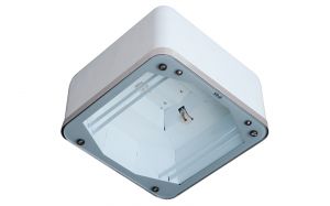 Mini Petrol S - светильник для АЗС и спортзалов